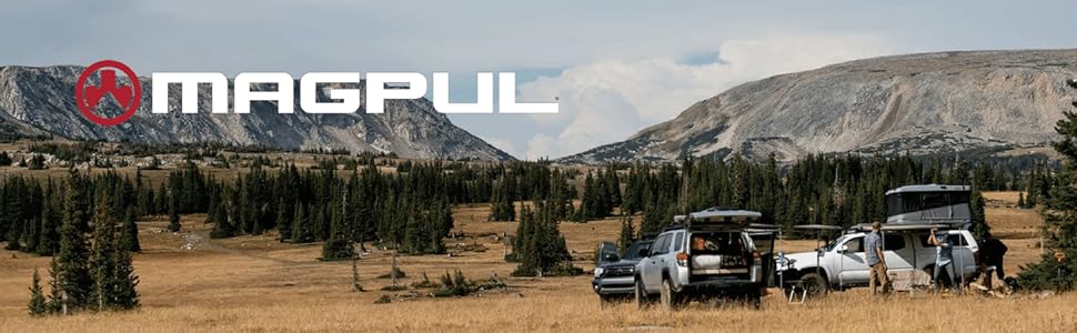 Magpul MBUS Flip-Up Backup Sights