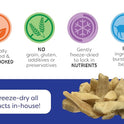 Freeze Dried Dog and Cat Treats, Goat Cheese, All Natural Freeze-Dried Dog Treat & Dog Snacks, Made in USA, High in Protein, Essential Nutrition of Raw Dog Food, 3oz