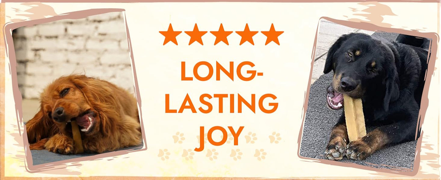 Tibetan Yak Cheese Dog Chew, Sticks (2 Medium Chews) - Natural, Handmade, Long-Lasting, Easy to Digest, Ideal for Medium Dogs and Aggressive Chewers, Rawhide, Grain and Gluten Free, Keeps Dogs Busy