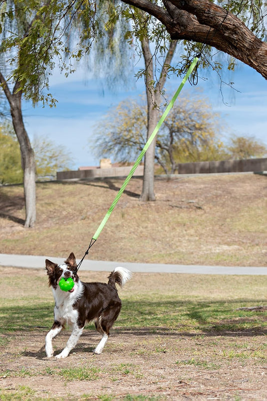 Jolly Pets, Tree Tugger For Dog, Green