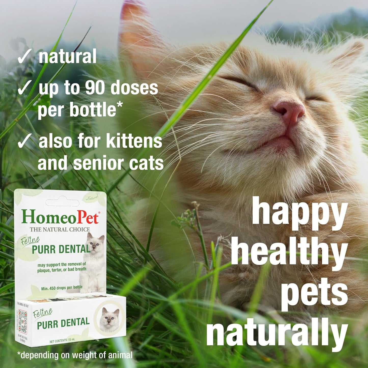 HomeoPet, Feline Purr Dental Safe and Natural Tooth and Dental Care for Cats 15 Milliliters