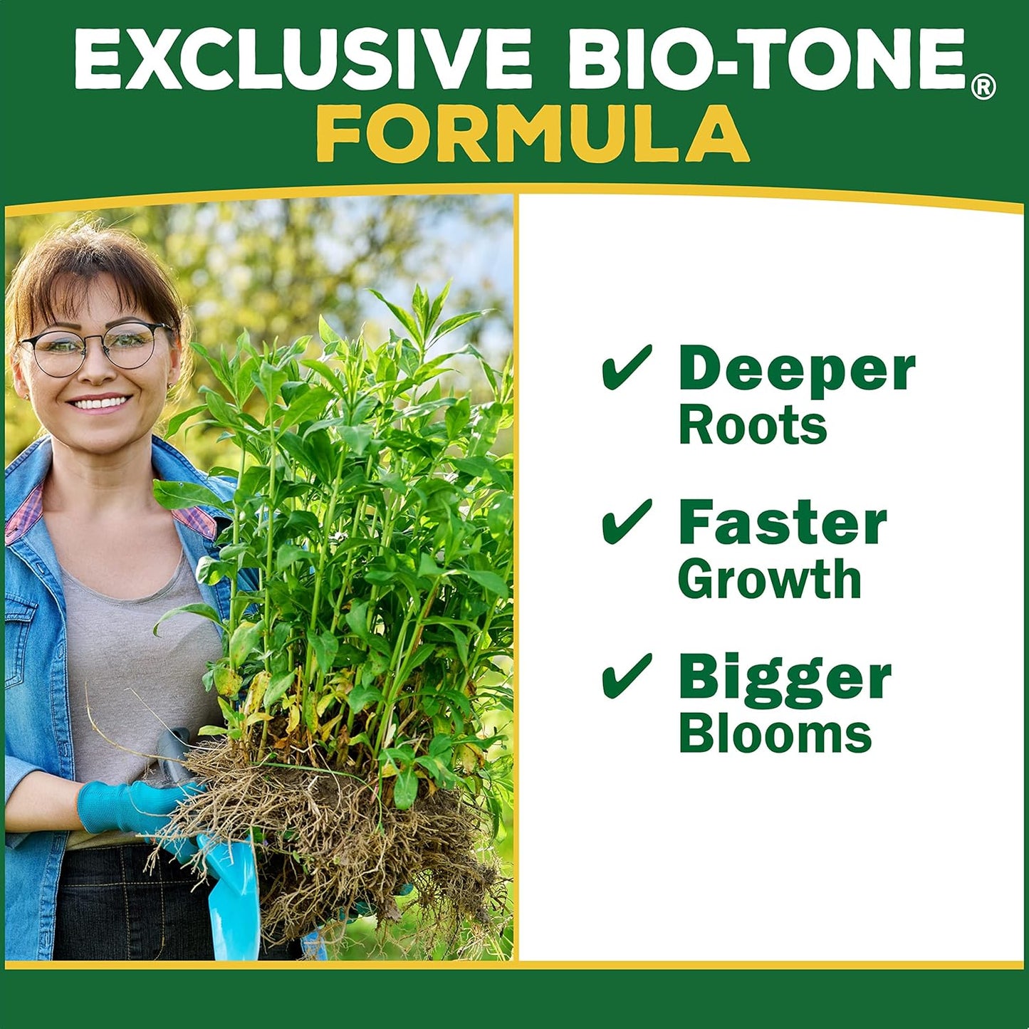 Espoma, Organic Citrus-Tone 5-2-6 Natural & Organic Fertilizer and Plant Food for All Citrus, Fruit, Nut & Avocado Trees; 4 lb. Bag. Promotes Vigorous Growth & Abundant Fruit