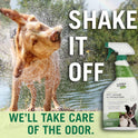 Citrus Magic, Pet Odor Eliminator, 22-Fluid Ounce