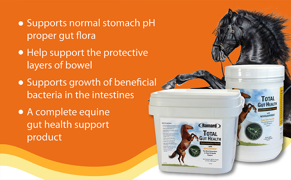 Ramard, Total Gut Health Equine Digestive Support - Equine Gut Health Supplement Probiotics for Horses, Healthy Gut Vitamins, Gastric Relief, Optimum Digestive Health for Horses 1.12lb, 30-Day Supply