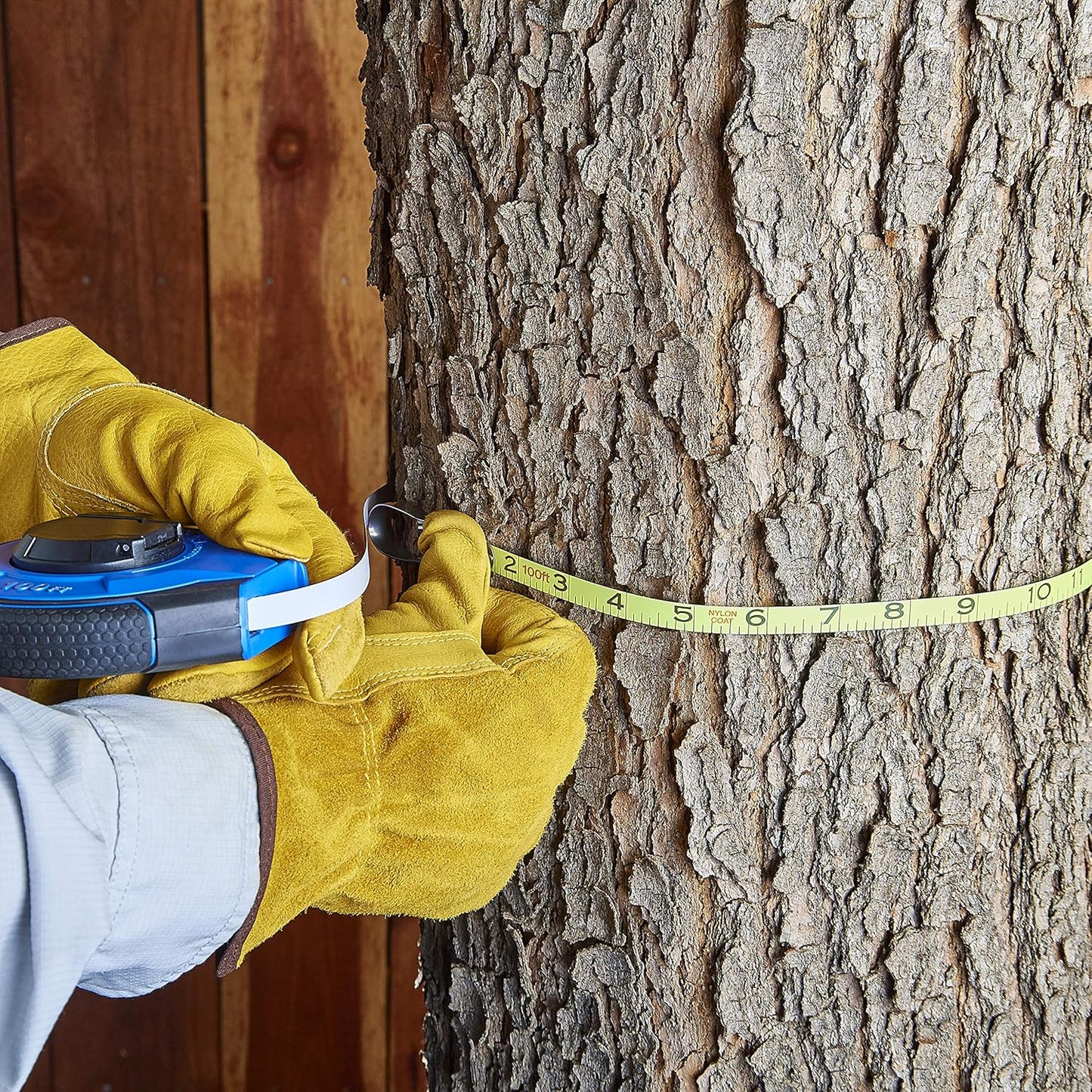 BioAdvanced, 12 Month Tree and Shrub Protect and Feed II, Concentrate, 32 Oz, Outdoor Insect Killer