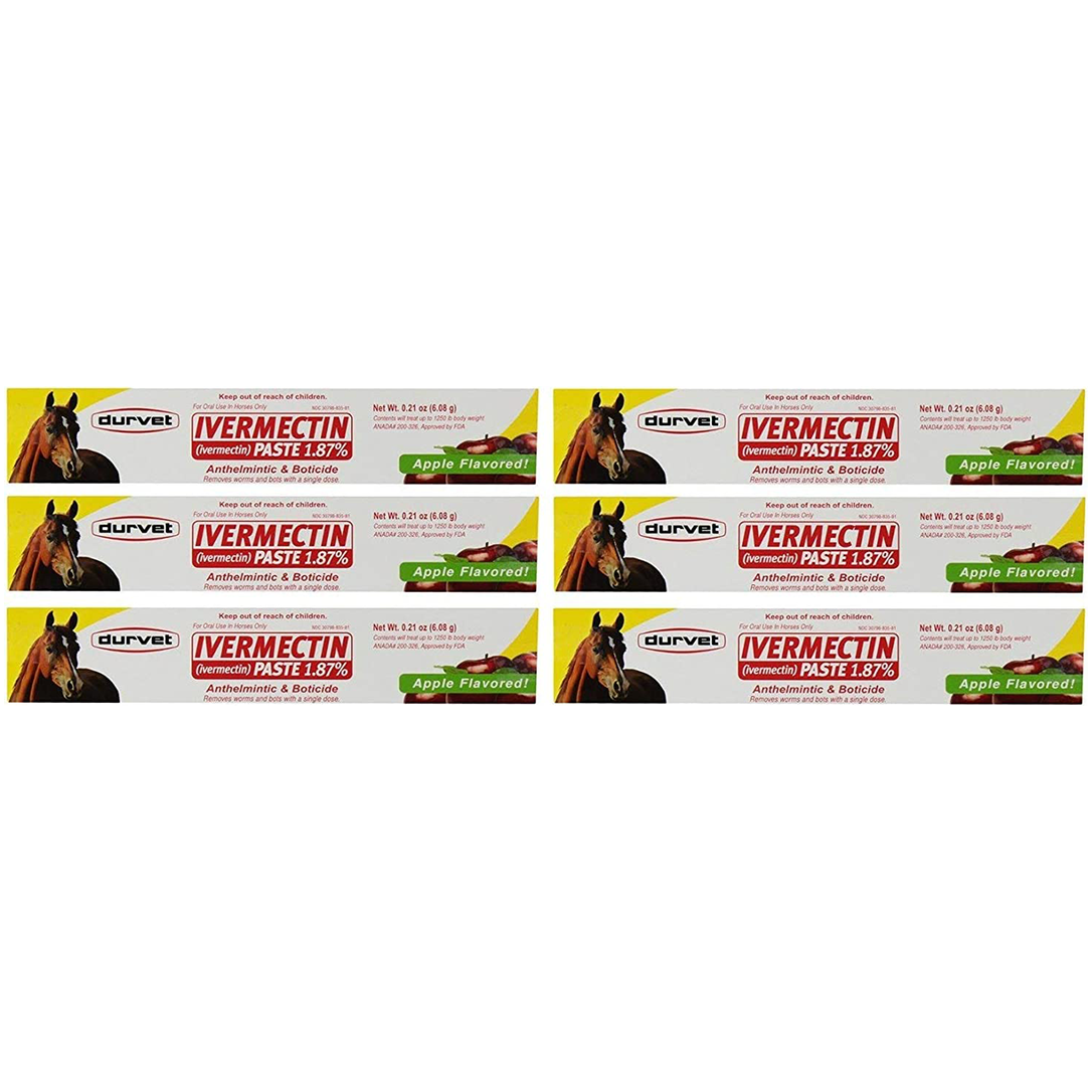 Durvet, Ivermectin Paste Dewormer - 6.08g dose @ 1.87% Apple Flavor (6-Pack)