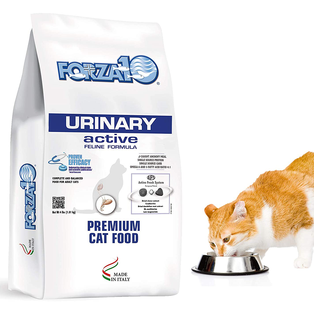 Forza10, Active Dry Cat Food Urinary Tract Health, Fish Flavor Urinary Tract Cat Food, Adult Cats Urinary Cat Food, 4 Pound Bag Urinary Tract Cat Food Dry