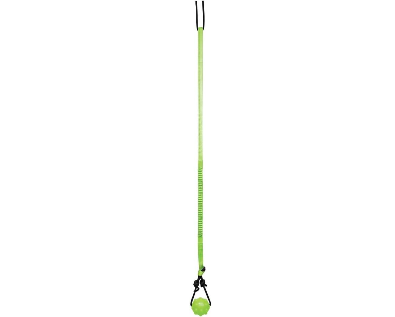 Jolly Pets, Tree Tugger For Dog, Green