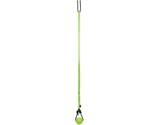 Jolly Pets, Tree Tugger For Dog, Green