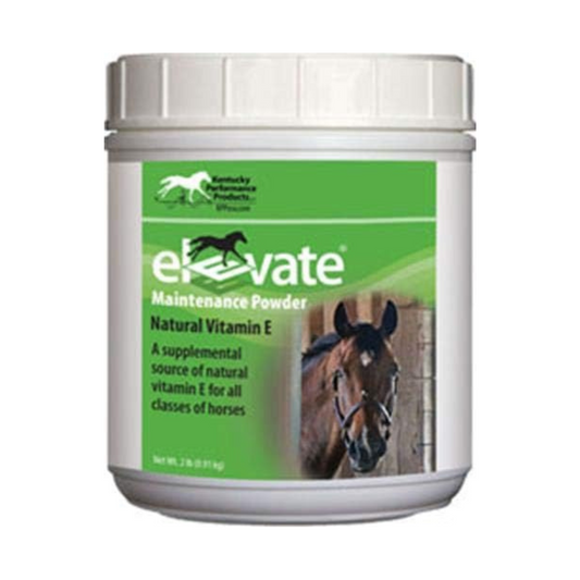 Kentucky Performance Prod, 044097 Elevate Maintenance Powder Supplement for Horses, 2 lb