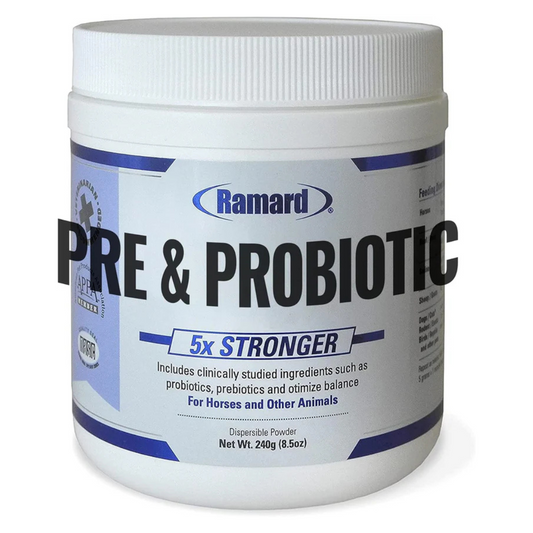 Ramard, Total Prebiotic & Probiotic Equine Formula - Natural Digestive Supplement for Horses Optimal Gut Health, Nutrient Absorption, Foal Support Pro & Pre Biotics for Livestock and Horse 8.5 oz. Jar