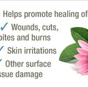 HomeoPet, HP Healing Cream, Safe and Natural Skin-Healing Ointment for Cats and Dogs, 14 Grams