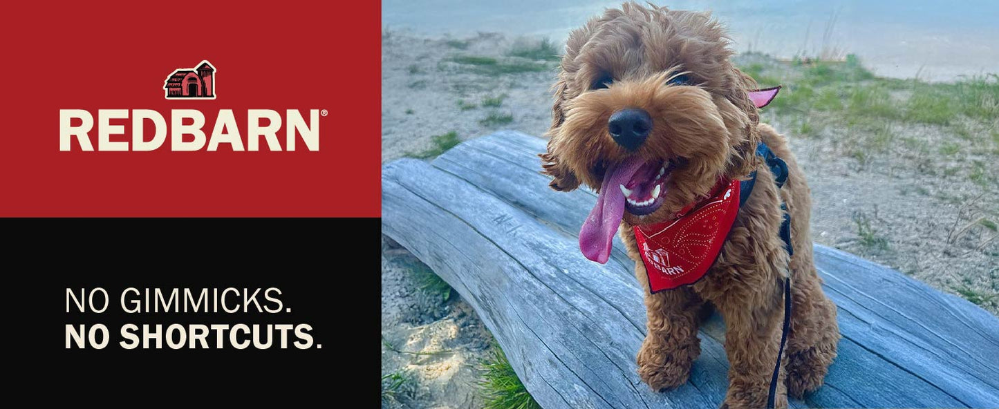 Redbarn, Bully Slims Esophagus Dog Treats – Single Protein Made with 100% Natural Beef Esophagus, Slow-Roasted for Maximum Flavor – No Rawhide, Highly Digestible Chew, Gluten-Free - 9.4 oz (Pack of 2)