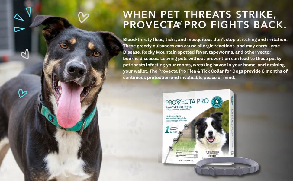 Provecta®, PRO Flea & Tick Collar for Dogs