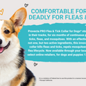Provecta®, PRO Flea & Tick Collar for Dogs
