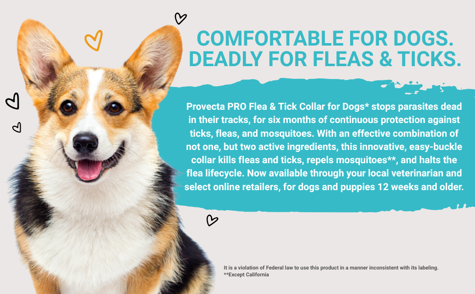 Provecta®, PRO Flea & Tick Collar for Dogs