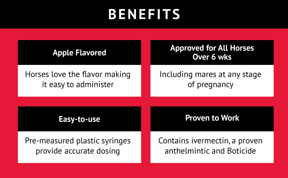 Bimectin, Ivermectin Paste 1.87% | Single Dose | Apple Flavored