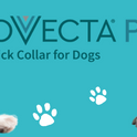 Provecta®, PRO Flea & Tick Collar for Dogs