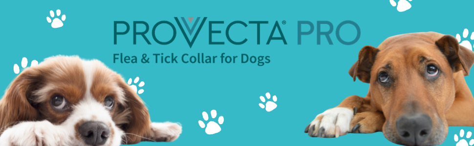 Provecta®, PRO Flea & Tick Collar for Dogs