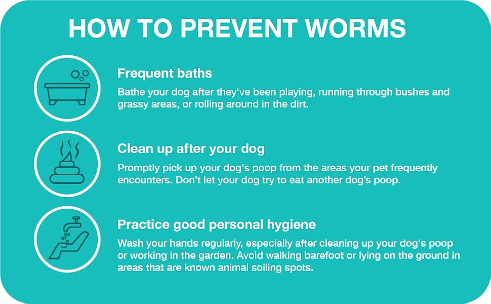 Elanco, Chewable Quad Dewormer for Medium Dogs, 26-60 lbs, 2 chewable tablets
