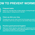 Elanco, Chewable Quad Dewormer for Large Dogs, 45 lbs and over, 2 chewable tablets