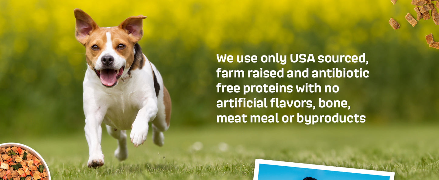 NAAVI, Natural Dog Food - Slow-Roasted Beef Bowl with Ancient Grains, Vegetables & Fruits - Ideal Wet/Dry Meal or Premium Dog Food Toppers for Picky Eaters (4 lbs)