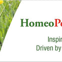 HomeoPet, Feline Purr Dental Safe and Natural Tooth and Dental Care for Cats 15 Milliliters