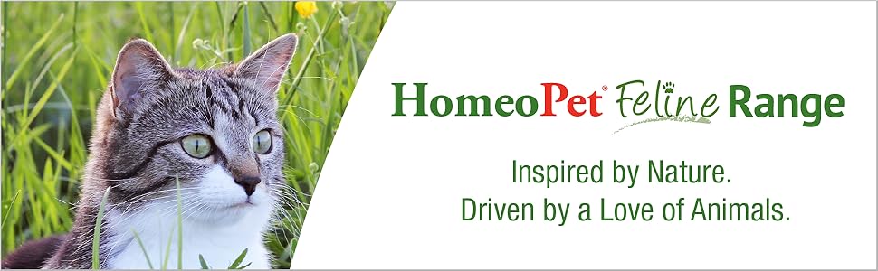HomeoPet, Feline Purr Dental Safe and Natural Tooth and Dental Care for Cats 15 Milliliters
