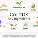 Plantiva, ColdDx Natural Herbal Defense & Respiratory Health Support Supplement - Non-Drowsy, Stimulant Free, Quick Relief - Vegan, Plant-Based - 60 Capsules