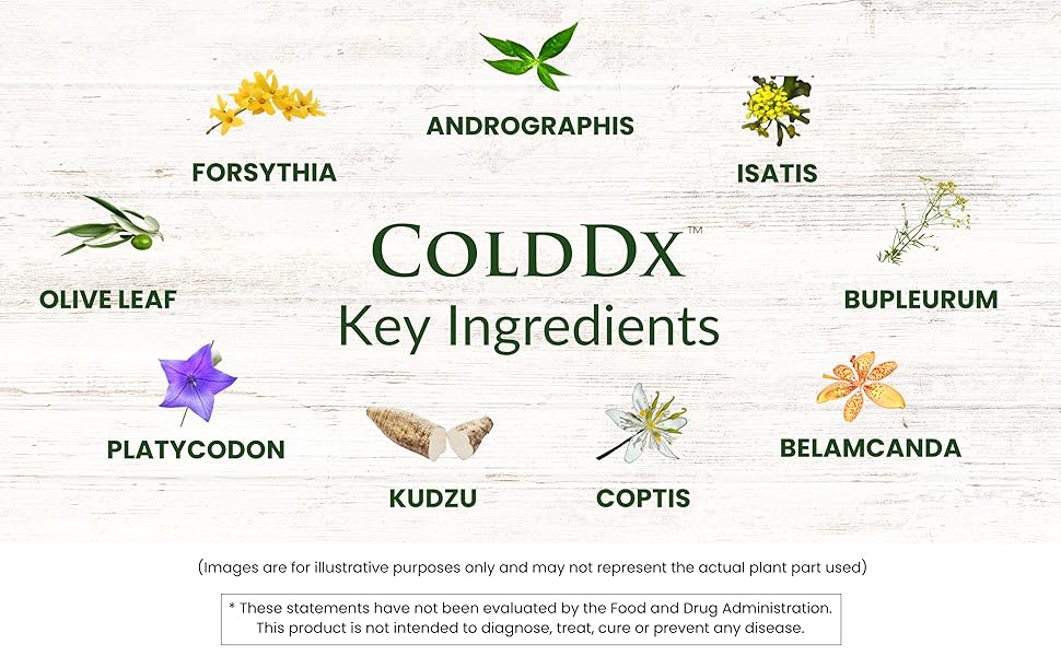 Plantiva, ColdDx Natural Herbal Defense & Respiratory Health Support Supplement - Non-Drowsy, Stimulant Free, Quick Relief - Vegan, Plant-Based - 60 Capsules