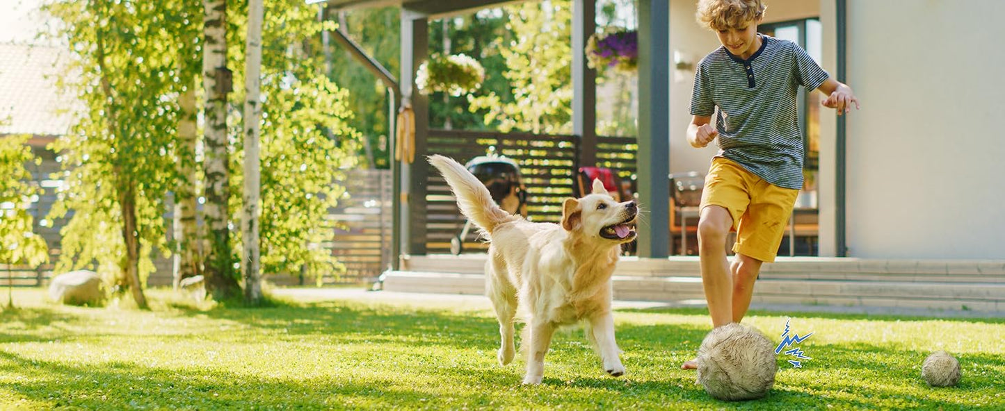 Nocciola, Wobble Giggle Ball for Dogs, Interactive Dog Toys for Boredom, Squeaky Ball Dog Toys to Keep Them Busy, Pet Toys for Small Medium Large Dogs, Fun Giggle Sounds When Rolled or Shaken (S)