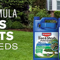 BioAdvanced, 12 Month Tree and Shrub Protect and Feed II, Concentrate, 32 Oz, Outdoor Insect Killer