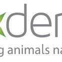 NEXDERMA, Natural Colloidal Medicated Pet Shampoo for Dogs and Cats - Tearless Hypoallergenic, Soap Free with Coconut Oil and Mint, Relief for Allergies, Odor, Itchy, Dry, Irritated Skin - 16oz, 1Pack