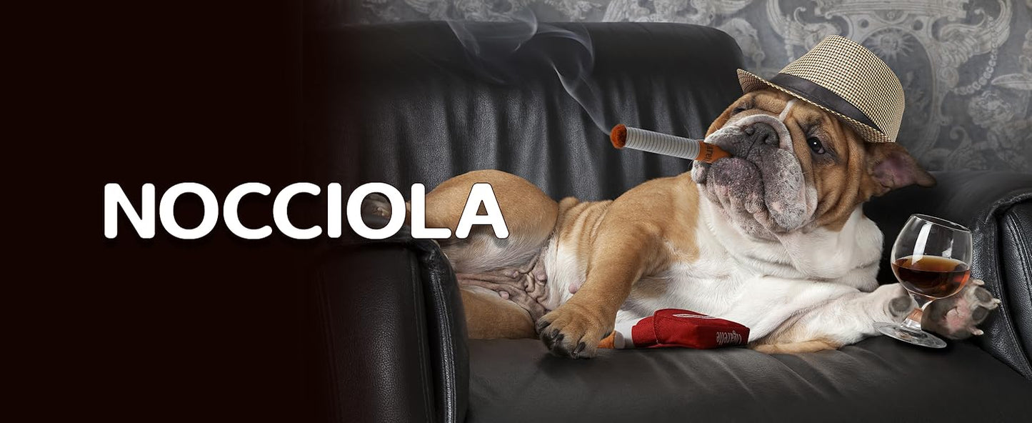 Nocciola, 3 Packs Squeaky Puff Stick Toys with a Box, Funny Interactive Plush Dog Toys, Pitbull Husky Frenchie Pug Stuffed Puppy Toys for Small to Medium Breed, Dog Accessories Boy Gift