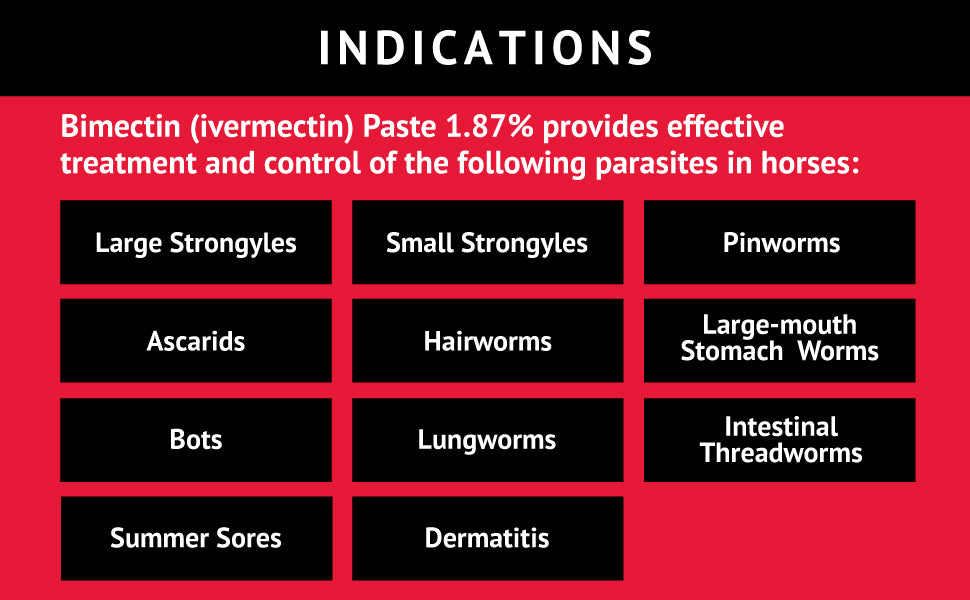 Bimectin, Ivermectin Paste 1.87% | Single Dose | Apple Flavored