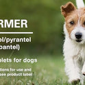 Elanco, Chewable Quad Dewormer for Large Dogs, 45 lbs and over, 2 chewable tablets