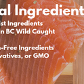 Smack, Pet Food Organic Raw Dehydrated Dog Food Grain-Free, Gluten-Free, Raw Food for Dogs (Caribbean Salmon Fusion, 5.5 Pound)