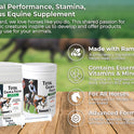 Ramard, Total Calm and Focus for Horses Supplement - Magnesium & Calming Formula for Horse Show, Training, & Performance Mental Alertness Without Drowsiness, Show Safe, Perfect Prep for Horses 1 Pack