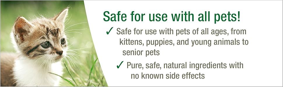 HomeoPet, Anxiety Relief Medicine for Pets, Natural Anxiety Relief for Dogs and Cats, Cat and Dog Calming Medicine, 15 Milliliters