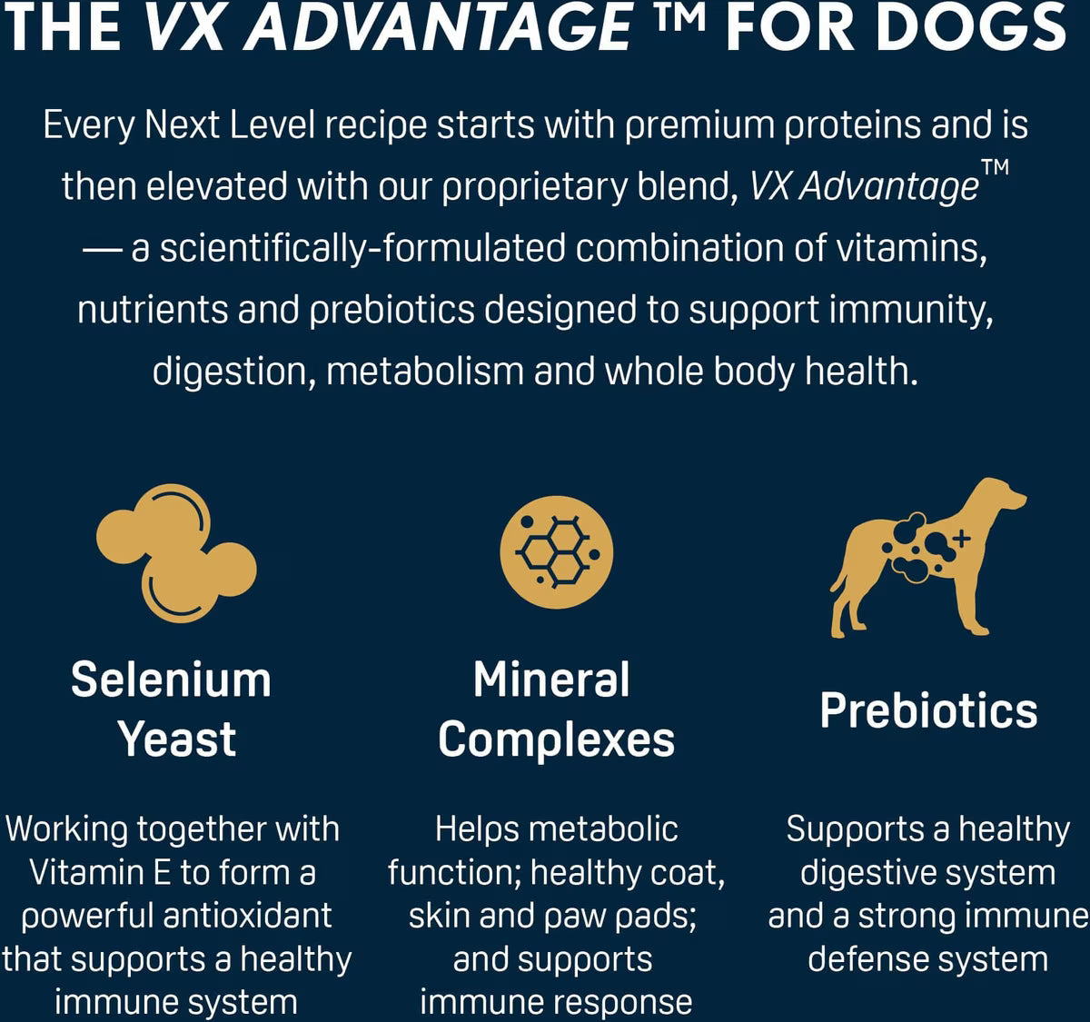 Next Level, Super Premium Dog Food – Ocean Catch – Dry Kibble for Adult Dogs of All Breeds – 24% Protein, Fish with Gluten Free Grains (4 Pound)