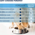 Forza10, Active Intestinal Dry Dog Food Digestive Health, Gluten Free and Sensitive Stomach Kibble with Omega 3, 6 Pounds, Adult Dogs