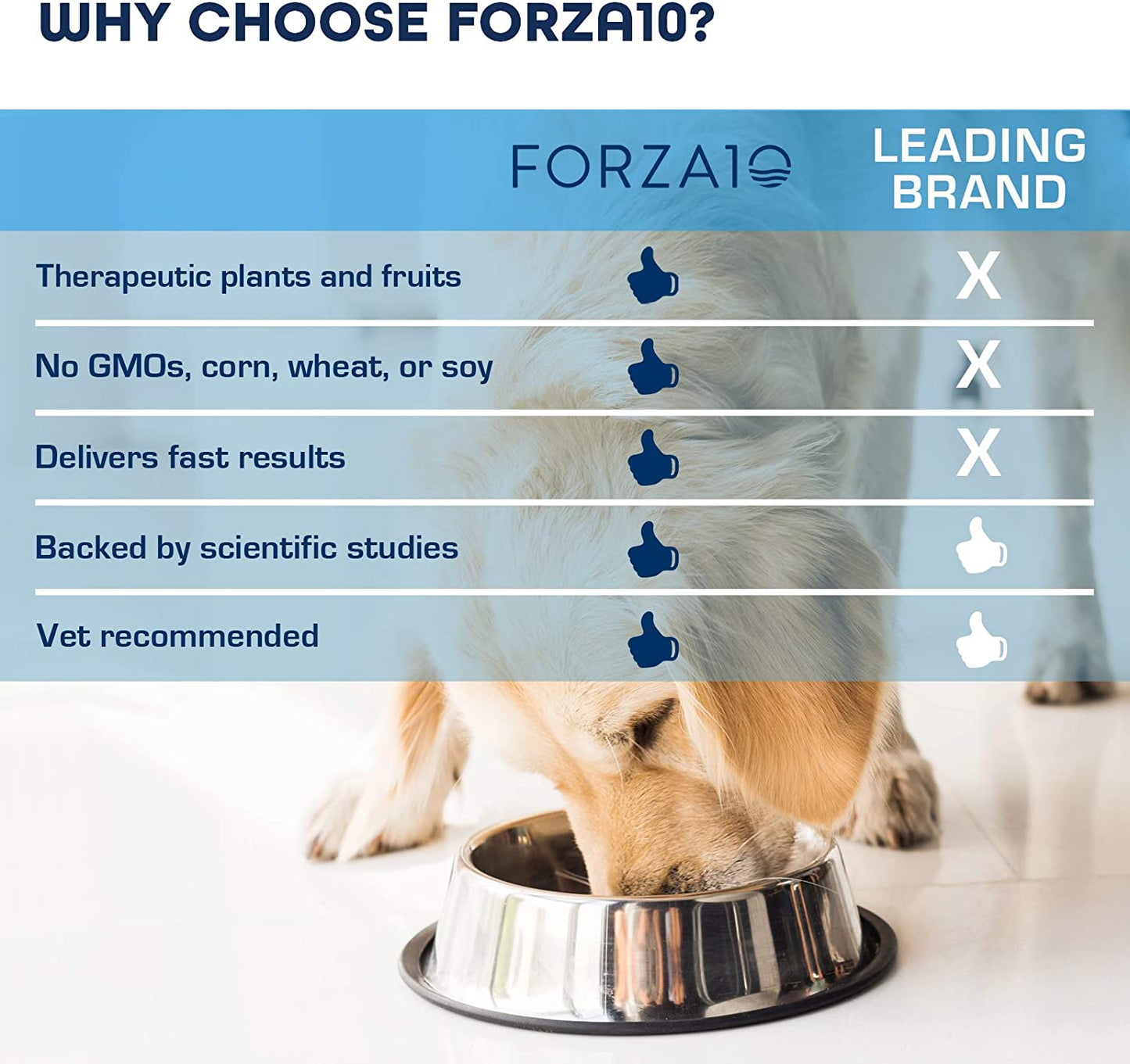 Forza10, Active Intestinal Dry Dog Food Digestive Health, Gluten Free and Sensitive Stomach Kibble with Omega 3, 6 Pounds, Adult Dogs