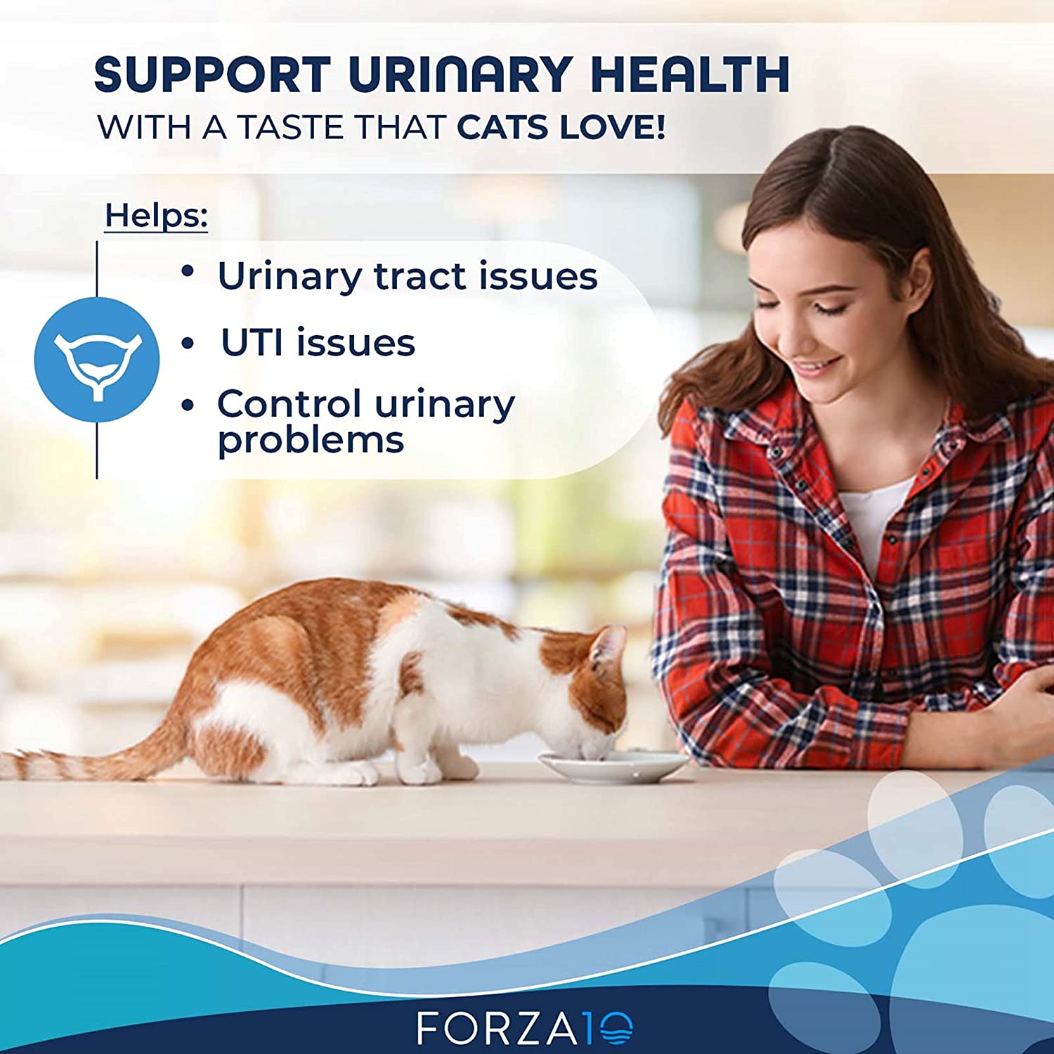 Food for cats with urinary best sale tract issues