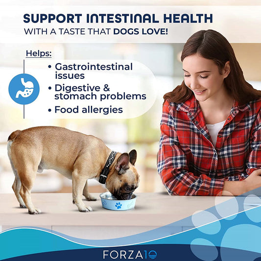 Forza10, Active Intestinal Dry Dog Food Digestive Health, Gluten Free and Sensitive Stomach Kibble with Omega 3, 6 Pounds, Adult Dogs